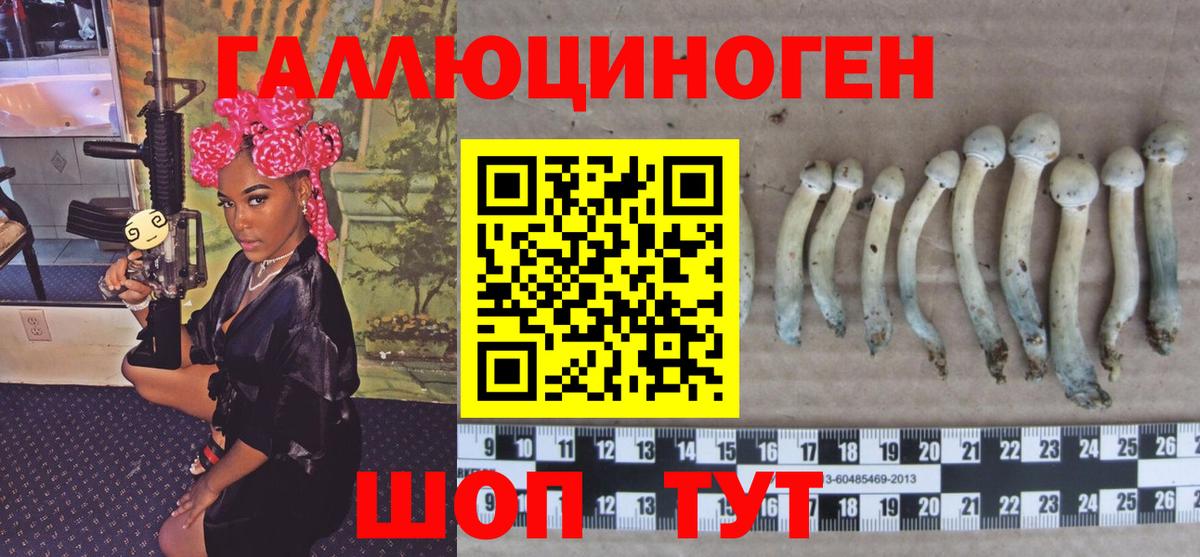 Псилоцибиновые грибы Cubensis  Псилоцибиновые грибы MAGIC MUSHROOMS  Кинель  Вход с VPN 
